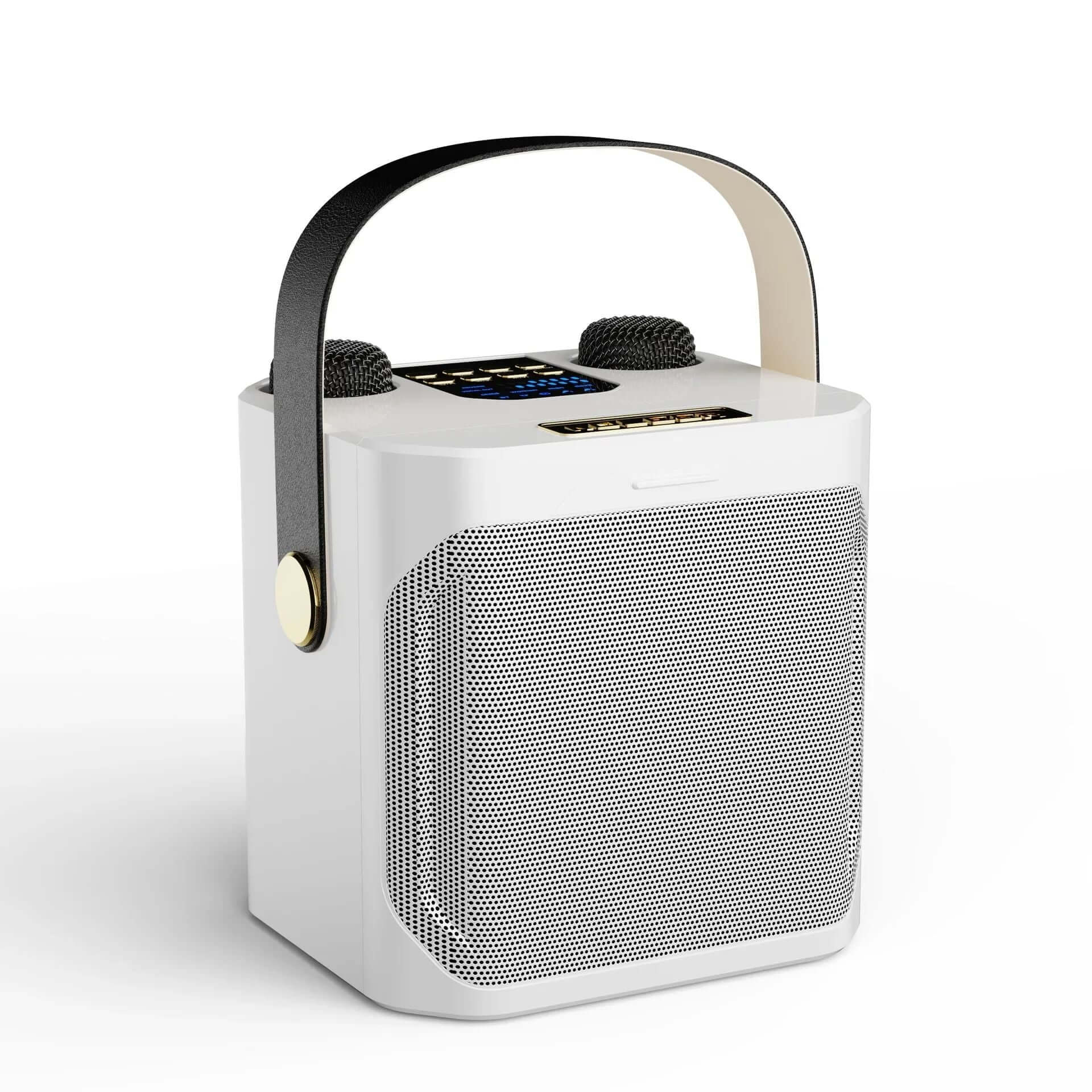 Powerful Karaoke Bluetooth Speaker – Portable 360° Stereo Surround Wireless Subwoofer with Dual Microphone Boombox